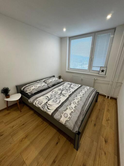 Apartman Amur 科希策 外观 照片